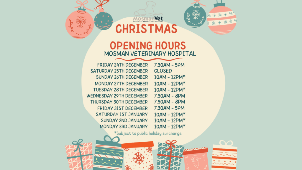 Christmas Opening Hours 1