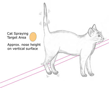 Cat spraying target area